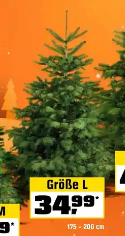 OBI Weihnachtsbaum Echte Nordmanntanne hoch gesägt Angebot