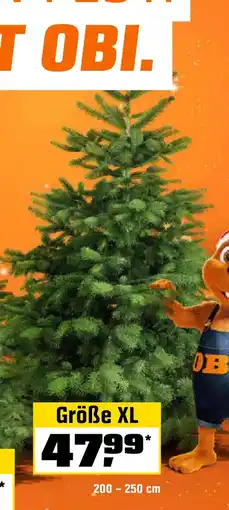 OBI Weihnachtsbaum Echte Nordmanntanne hoch gesägt Angebot