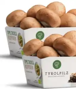 MPreis Bio-Steinchampignons Angebot