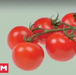 MPreis Midi-Rispentomaten Angebot