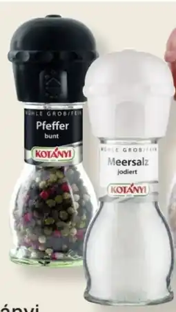 MPreis Kotányi Gewürzmühlen Angebot