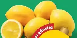 PENNY Echt Bio Zitronen Angebot