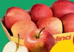 PENNY Evelina Äpfel Angebot