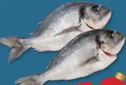 PENNY Goldbrasse Angebot