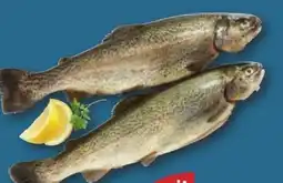 PENNY Forelle Angebot