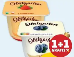 PENNY Danone Obstgarten Angebot