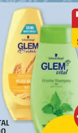 PENNY Schwarzkopf Glem Vital Shampoo Angebot