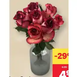 MPreis Rosen Bund MPREIS Angebot