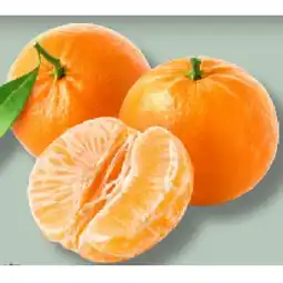 MPreis M BIO Clementinen MPREIS Angebot