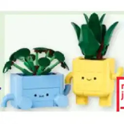 Maximarkt 10349 Fröhliche Pflanzen maxi.preisjoker Maximarkt Angebot