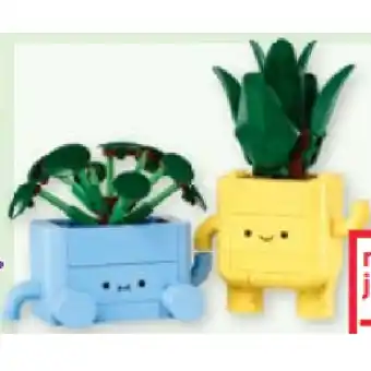 Maximarkt 10349 Fröhliche Pflanzen maxi.preisjoker Maximarkt Angebot