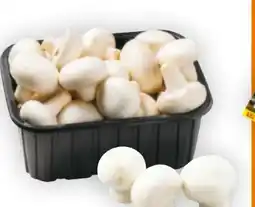 Billa Champignons Angebot