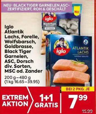 Iglo Atlantik Lachs