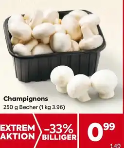 Billa Champignons Angebot