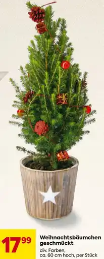 Billa Weihnachtsbäumchen geschmückt Angebot