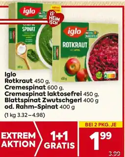 Billa Iglo Rotkraut Angebot
