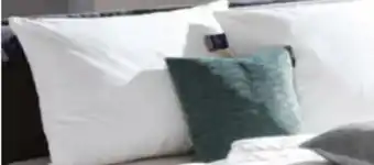 XXXLutz Billerbeck 3-Kammer-Polster Nena Angebot