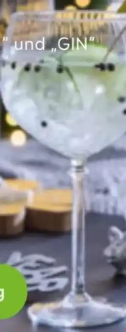 Mömax Gin Glas Angebot