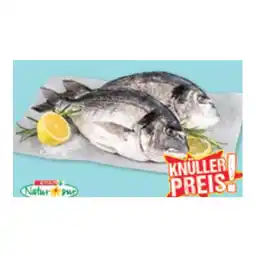 Maximarkt Bio-Goldbrasse Maximarkt Angebot