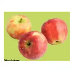 Maximarkt Oberösterr. Elstar Äpfel Maximarkt Angebot