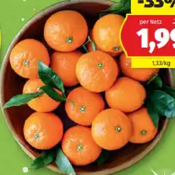 Hofer Clementinen HOFER Angebot