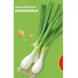 Hofer Jungzwiebeln HOFER Angebot