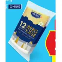 Hofer 1889 Bergkäse HOFER Angebot
