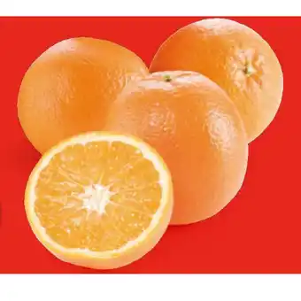 Hofer Bio-Orangen HOFER Angebot
