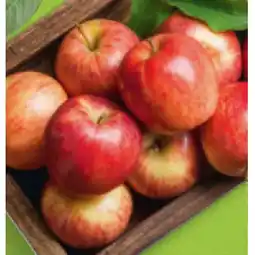 Hofer Äpfel aus Österreich HOFER Angebot