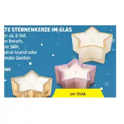 Hofer Geriffelte Sternenkerze im Glas versch. Düfte HOFER Angebot