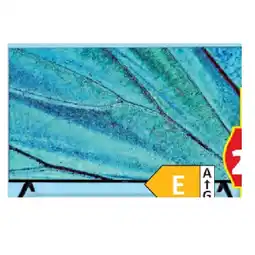 Hofer LIFE 138,8 CM (55“) UHD QLED SMART-TV HOFER Angebot