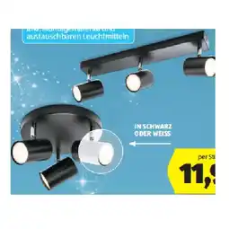 Hofer Spotlight Basic HOFER Angebot