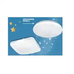Hofer Deckenleuchte Basic versch. Modelle HOFER Angebot
