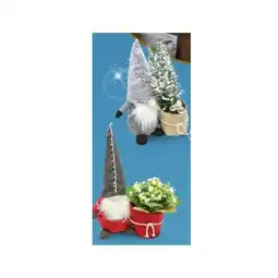 Hofer Bepflanzte Arrangements Xmas Wichtel bepflanzter HOFER Angebot