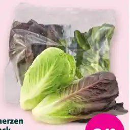Denn's Biomarkt Bio-Salatherzen grün-grün oder grün-rot Denns BioMarkt Angebot