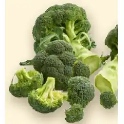 Denn's Biomarkt Bio-Brokkoli Denns BioMarkt Angebot