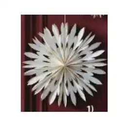 JYSK Weihnachtsstern SKRYMSLI 6112250 JYSK Angebot