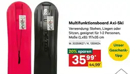 Lagerhaus Multifunktionsboard Axi-Ski Angebot