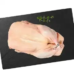 PENNY Frische Ente bratfertig Penny Angebot