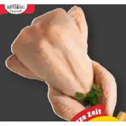 PENNY Mini-Pute Penny Angebot