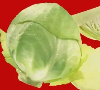 Interspar Bio-Kräuter Angebot