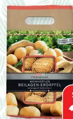 SPAR Gourmet Spar Premium Beilagen-Kartoffeln Angebot