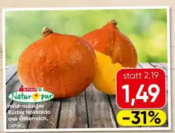 Eurospar Kürbis Hokkaido Angebot