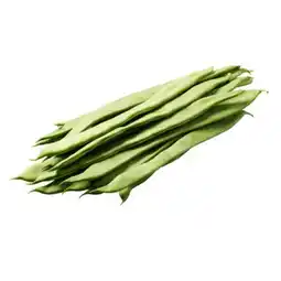 PENNY Fisolen Breit jö Bonus Club Preis Penny Angebot