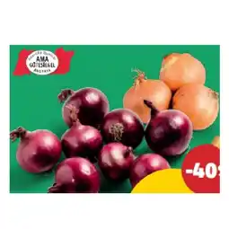 PENNY Zwiebeln gelb od. rot jö Bonus Club Preis Penny Angebot