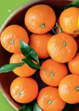 Hofer Hofer Marktplatz Clementinen Angebot