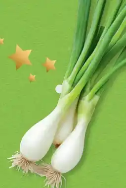 Hofer Hofer Marktplatz Jungzwiebeln Angebot