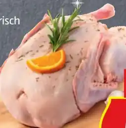 Hofer Ente Angebot