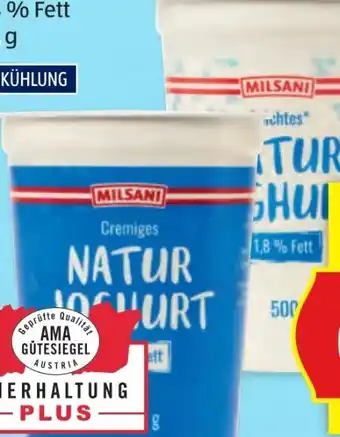Hofer Milsani Naturjoghurt Angebot