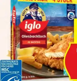 Hofer Iglo Ofenbackfisch Angebot